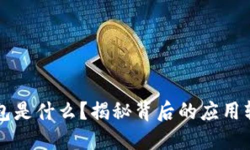 比特币钱包是什么？揭秘背后的应用软件与功能